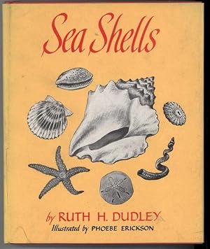 Seller image for SEA SHELLS for sale by Windy Hill Books