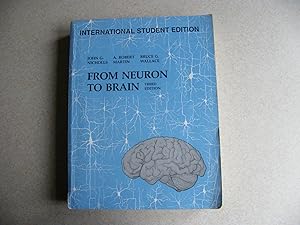 From Neuron To Brain