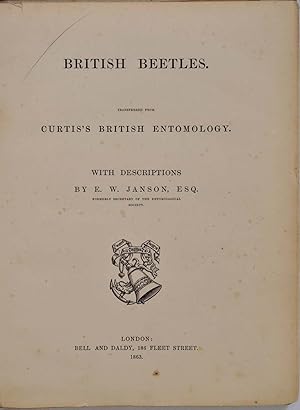 BRITISH BEETLES. Transferred from Curtis's British Entomology. With Descriptions by E. W. Janson