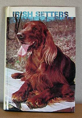 IRISH SETTERS