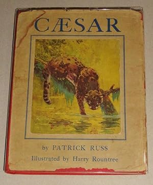 Caesar - the Life Story of a Panda Leopard