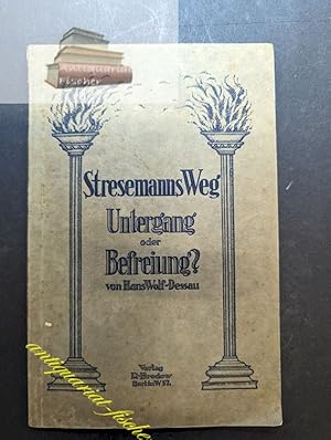 Stresemanns Weg : Untergang oder Befreiung?.