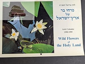 Bild des Verkufers fr 1998-1999 Wild Flowers of the Holy Land zum Verkauf von Antiquariat-Fischer - Preise inkl. MWST