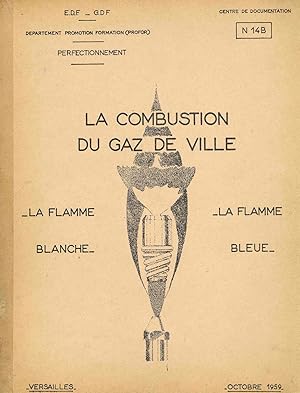 LA COMBUSTION DU GAZ DE VILLE (N 14B) :La flamme blanche  La flamme bleue