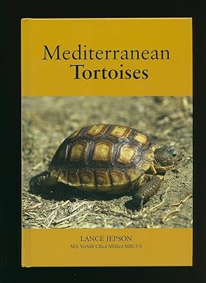 Imagen del vendedor de Mediterranean Tortoises a la venta por Little Stour Books PBFA Member