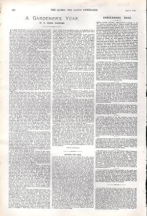 Imagen del vendedor de PRINT: "A Gardener's Year".article from The Queen, The Lady's Newspaper and Court Chronicle; April 9, 1904 a la venta por Dorley House Books, Inc.