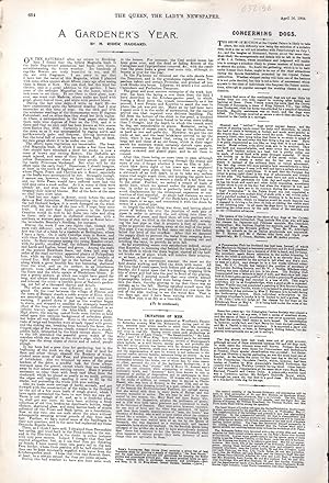 Image du vendeur pour PRINT: "A Gardener's Year".article from The Queen, The Lady's Newspaper and Court Chronicle; April 16, 1904 mis en vente par Dorley House Books, Inc.