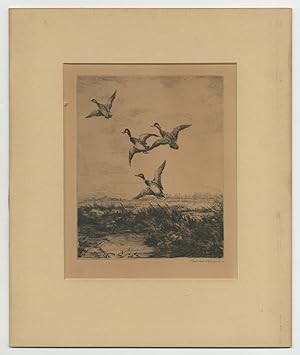 [Drypoint]: Suspicion (Four Ducks Taking Flight)