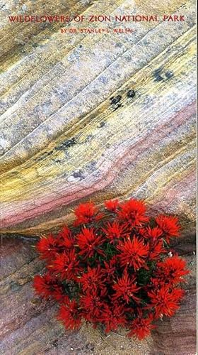 Seller image for WILDFLOWERS OF ZION NATIONAL PARK for sale by Pendleburys - the bookshop in the hills
