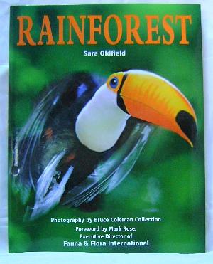 Seller image for Rainforest for sale by Wormhole Books