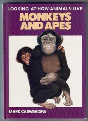 Looking at how animals live: Monkey and Apes