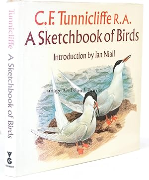Imagen del vendedor de A Sketchbook of Birds. Introduction by Ian Niall. NEAR FINE COPY IN UNCLIPPED DUSTWRAPPER a la venta por Island Books