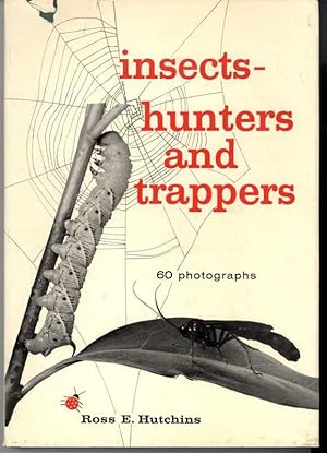 INSECTS- HUNTERS AND TRAPPERS