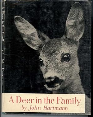 A DEER IN THE FAMILY
