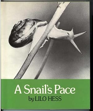 A SNAIL'S PACE