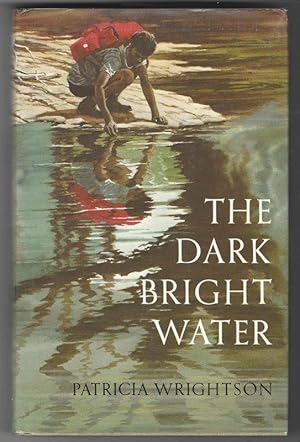 Seller image for THE DARK BRIGHT WATER for sale by Windy Hill Books