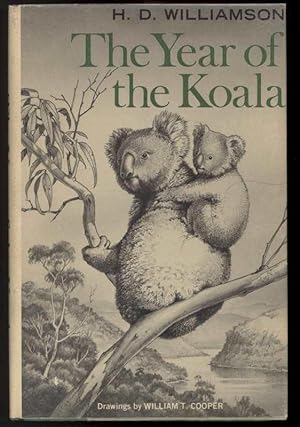 THE YEAR OF THE KOALA.