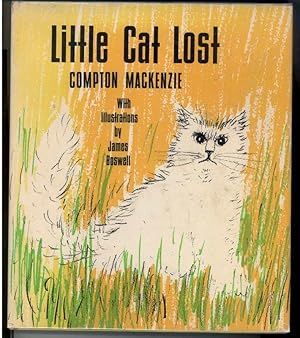 LITTLE CAT LOST