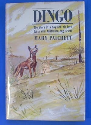 DINGO