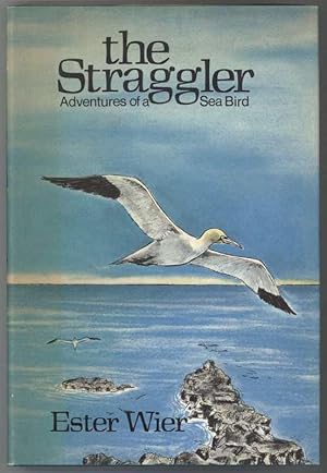 THE STRAGGLER Adventures of a Sea Bird