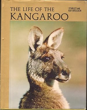 THE LIFE OF THE KANGAROO