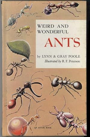 Seller image for WEIRD AND WONDERFUL ANTS for sale by Windy Hill Books