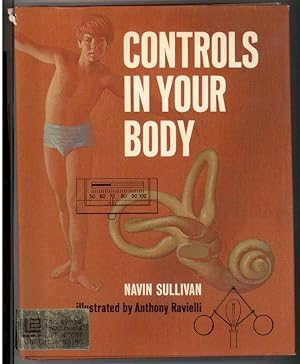 CONTROLS IN YOUR BODY