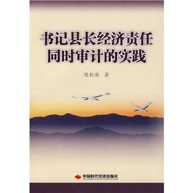 Seller image for At the same time the audit of the economic responsibility of the secretary of the Magistrate Practice [Paperback](Chinese Edition) for sale by liu xing