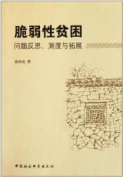 Immagine del venditore per The vulnerability of poverty: the reflection measure and expansion [Paperback](Chinese Edition) venduto da liu xing