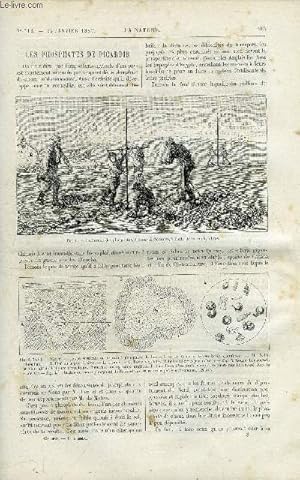 Seller image for La nature n 712 - Les phosphates de Picardie par Stanislas Meunier, La statistique graphique au ministre des travaux publics, Les fabriques d'horlogerie amricaines, Le calendrier perptuel et la mnmotechnie, Les boshimans a Paris par T. Topinard for sale by Le-Livre