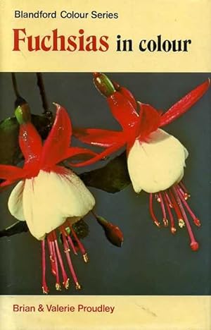 Seller image for FUCHSIAS IN COLOUR for sale by Pendleburys - the bookshop in the hills