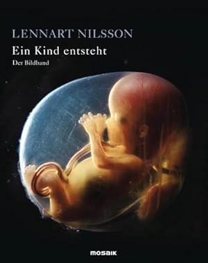 Seller image for Ein Kind entsteht - Der Bildband for sale by BuchWeltWeit Ludwig Meier e.K.