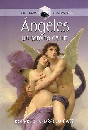 Imagen del vendedor de ANGELES :Un camino de luz a la venta por LA TIENDA DE PACO