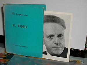 Il Pino