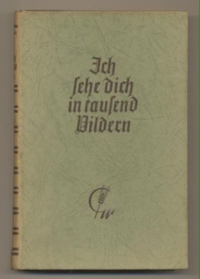 Seller image for Ich sehe dich in tausend Bildern. Die Geschichte eines Sommers. for sale by Leonardu