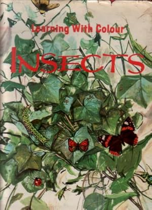 Imagen del vendedor de The Colourful World of Insects a la venta por The Children's Bookshop