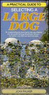 A Practical Guide to Selecting a Large Dog