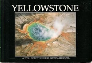 Immagine del venditore per YELLOWSTONE : A Wish You Were Here Postcard Book venduto da Grandmahawk's Eyrie
