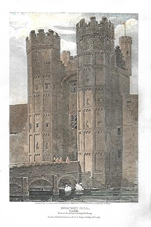 Bild des Verkufers fr OXBURGH HALL, NORFOLK - An Original Antique Hand-Coloured Engraving zum Verkauf von K Books Ltd ABA ILAB