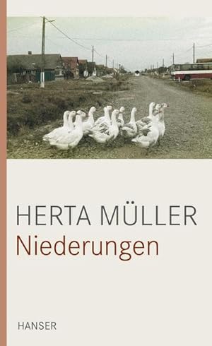 Image du vendeur pour Niederungen mis en vente par BuchWeltWeit Ludwig Meier e.K.