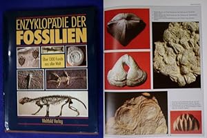 Imagen del vendedor de Enzyklopdie der Fossilien a la venta por Buchantiquariat Uwe Sticht, Einzelunter.