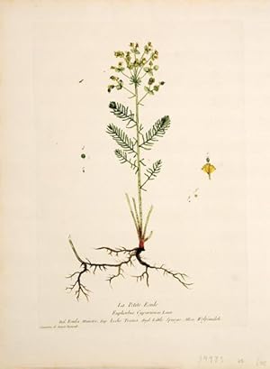 Imagen del vendedor de La Petit Esule. (Little Spurge) a la venta por Peter Harrington.  ABA/ ILAB.