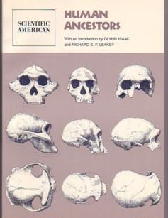 Imagen del vendedor de Human Ancestors: Readings from Scientific American a la venta por Ray Dertz