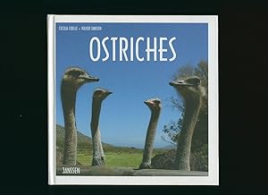 Seller image for Ostriches for sale by Little Stour Books PBFA Member