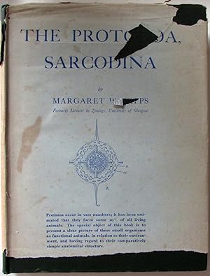 Imagen del vendedor de The Protozoa, Sarcodina a la venta por Ariel Books IOBA