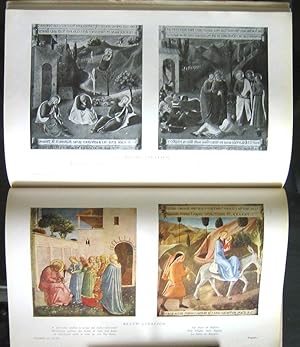 Immagine del venditore per The Convent of San Marco: In Florence and the Paintings of Fra Angelico venduto da DR Fine Arts