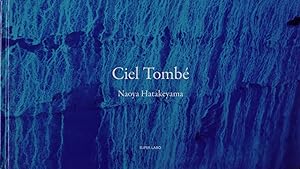 Seller image for Naoya Hatakeyama: Ciel Tomb (Trade Edition) [SIGNED] and a copy of The Astrologer, by Sylvie Germain for sale by Vincent Borrelli, Bookseller