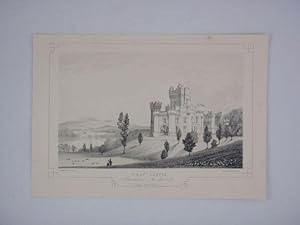 Fine Original Antique Lithograph Illustrating Wray Castle in Lancashire, The Seat of James Dawson...