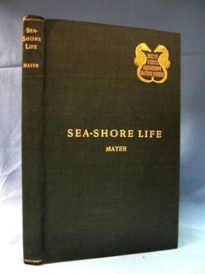 Seller image for SEA-SHORE LIFE Invertebrates of the New York Coast & the Adjecent Coast Region for sale by Nick Bikoff, IOBA
