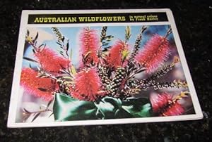 Australian Wild Flowers in natural colour By Frank Hurley